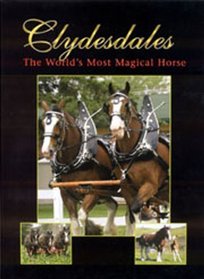 Clydesdales-The World's Most Magical Horse