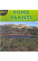 Pond Plants
