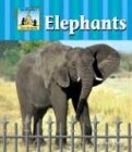 Elephants (Zoo Animals)
