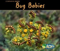 Bug Babies (Acorn)