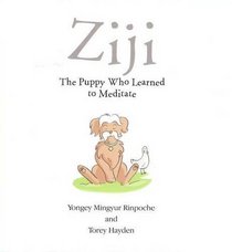 Ziji: The Puppy Who Learned to Meditate