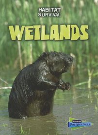 Wetlands (Raintree Perspectives)