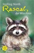 Rascal, der Waschbr