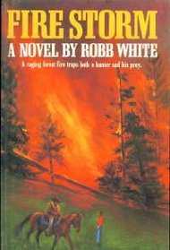 Fire Storm: A Novel