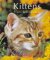 Kittens: From Before Birth to Adulthood