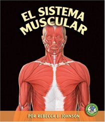 El Sistema Muscular/ The Muscular System (Libros Sobre El Cuerpo Humano Para Mandrugadores/Early Bird Body Systems) (Spanish Edition)
