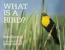What Is a Bird?