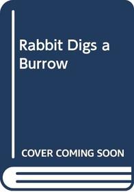 Rabbit Digs a Burrow