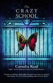 The Crazy School (Madeline Dare, Bk 2)