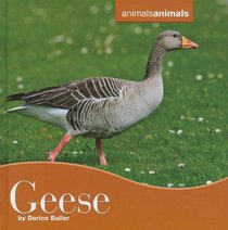 Geese (Animals Animals)
