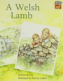 A Welsh Lamb