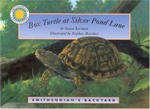 Box Turtle at Silver Pond Lane (Smithsonian's Backyard)