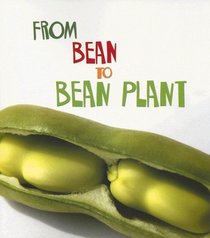 From Bean to Bean Plant (How Living Things Grow)