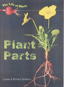 Plant Parts (Life of Plants)