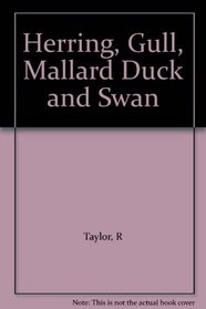 Herring Gull, Mallard Duck and Swan (Stand & Stare Books)