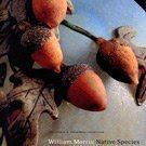 William Morris. Native Species. The George R. Stroemple Collection