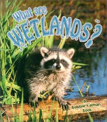 What Are Wetlands? (Science of Living Things)