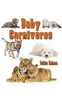 Baby Carnivores (It's Fun to Learn About Baby Animals)