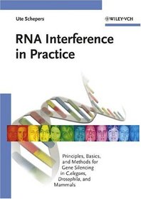 RNA Interference in Practice : Principles, Basics, and Methods for Gene Silencing in C.elegans, Drosophila, and Mammals