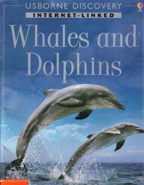 Whales and Dolphins (Usborne Discovery)