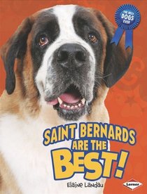 Saint Bernards Are the Best! (The Best Dogs Ever)