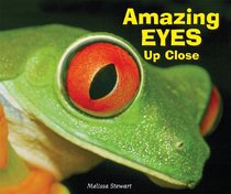 Amazing Eyes Up Close (Animal Bodies Up Close)