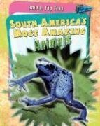South America's Most Amazing Animals (Perspectives)