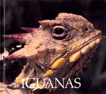 Iguanas (Naturebooks Reptiles and Amphibians)