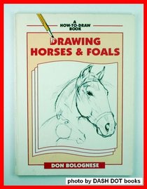 Drawing Horses and Foals (How to Draw)