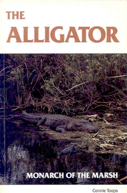 The Alligator-Monarch of the Marsh