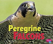 Peregrine Falcons (Birds of Prey)