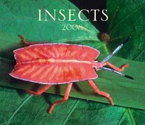 Insects 2008 (Calendar)