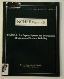 Caesar: An Expert System for Evaluation of Scour and Stream Stability (Report / National Cooperative Highway Research Program)