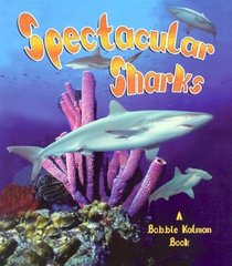 Spectacular Sharks (The Living Ocean)