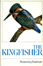 The kingfisher