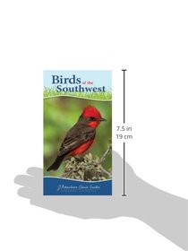 Birds of the Southwest (Adventure Quick Guides)
