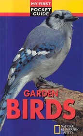 Garden Birds