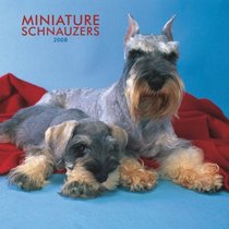 Schnauzers, Miniature 2008 Square Wall Calendar (German, French, Spanish and English Edition)