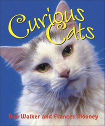 Curious Cats