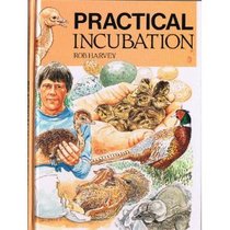 Practical Incubation