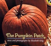 The Pumpkin Patch