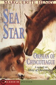 Sea Star: Orphan Of Chincoteague (Misty, Bk 2)