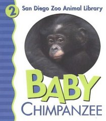 Baby Chimpanzee (San Diego Zoo)