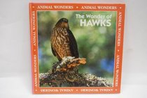 The Wonder of Hawks (Animal Wonders)