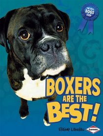 Boxers Are the Best! (The Best Dogs Ever)