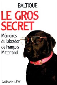 Le gros secret (French Edition)