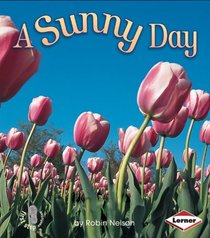 Sunny Day (First Step Nonfiction)