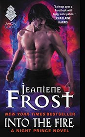 Into the Fire (Night Prince, Bk 4)
