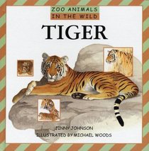 Tiger (Zoo Animals in the Wild)