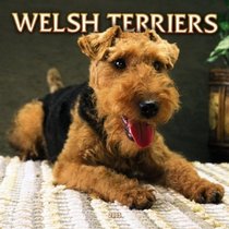 Welsh Terriers 2005 Wall Calendar